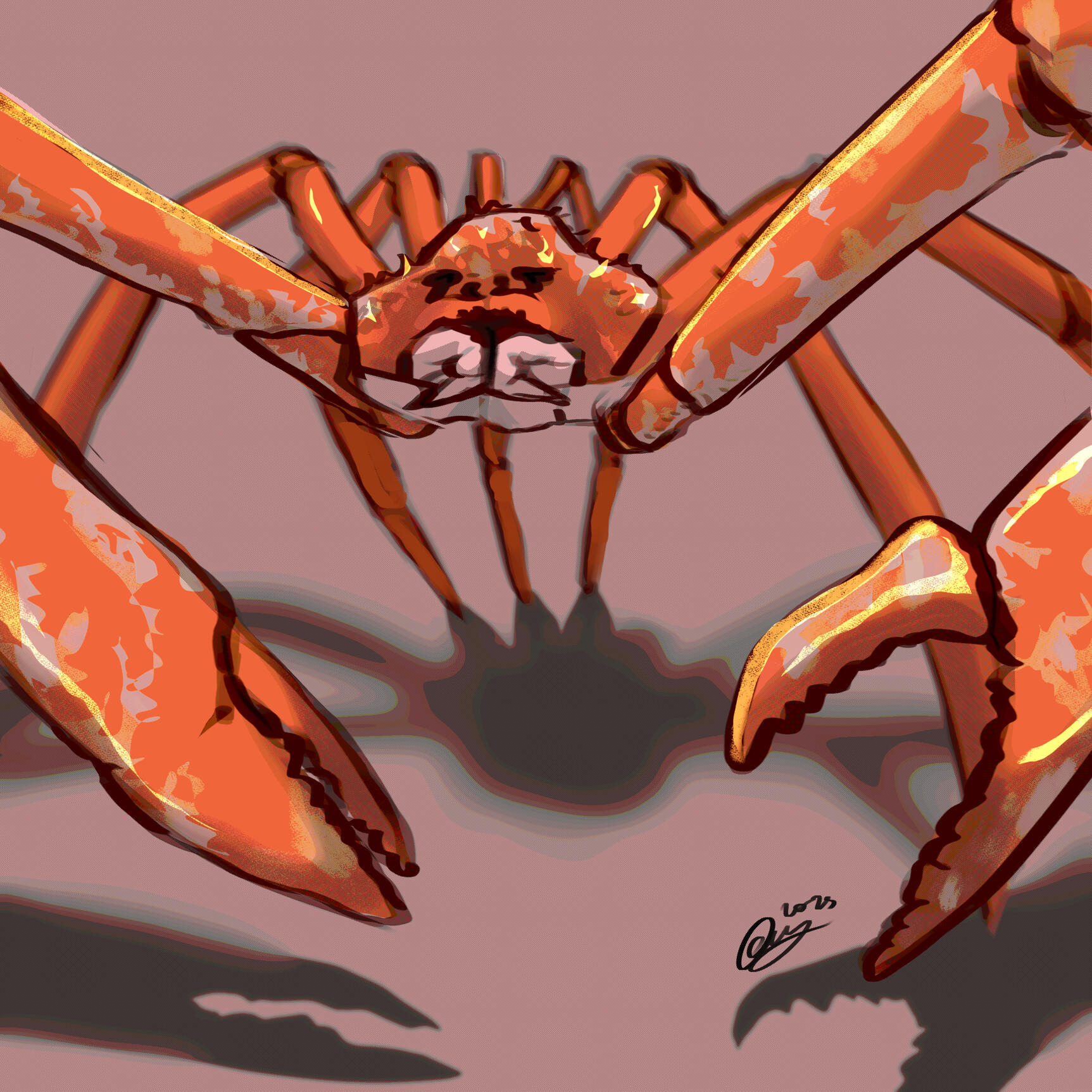 Spider Crab Cuz I was craving it
